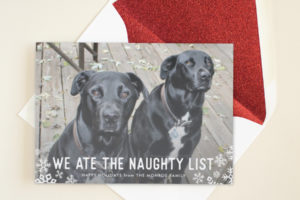 funny pet holiday card for naughty pets