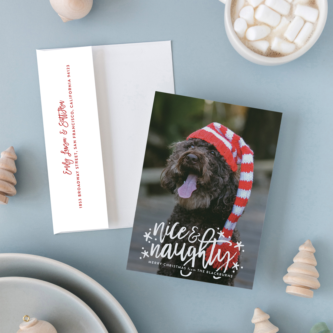 nice and naughty funny pet holiday cards