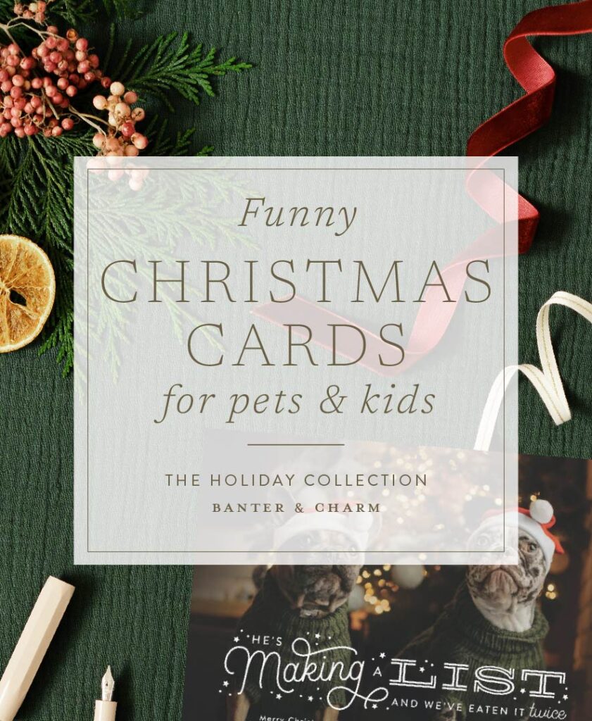 Funny Christmas Cards for pet owners