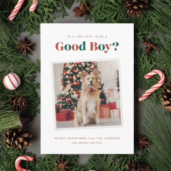 good boy funny dog christmas card