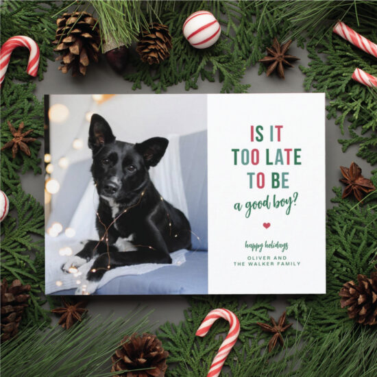 funny pet holiday cards