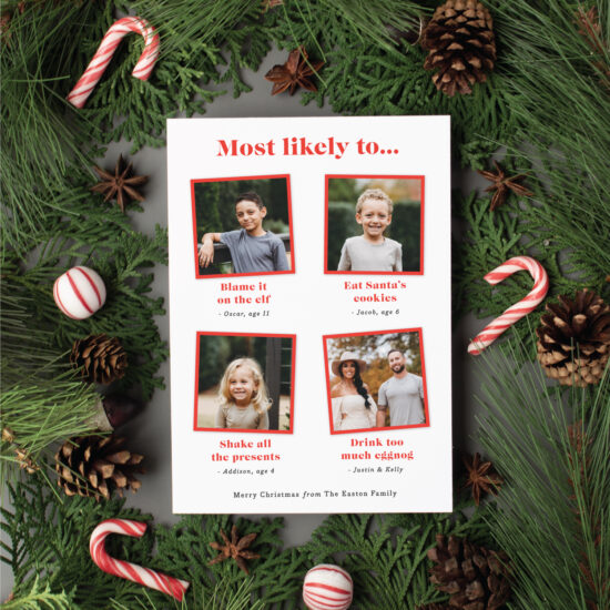 minted funny holiday photo cards