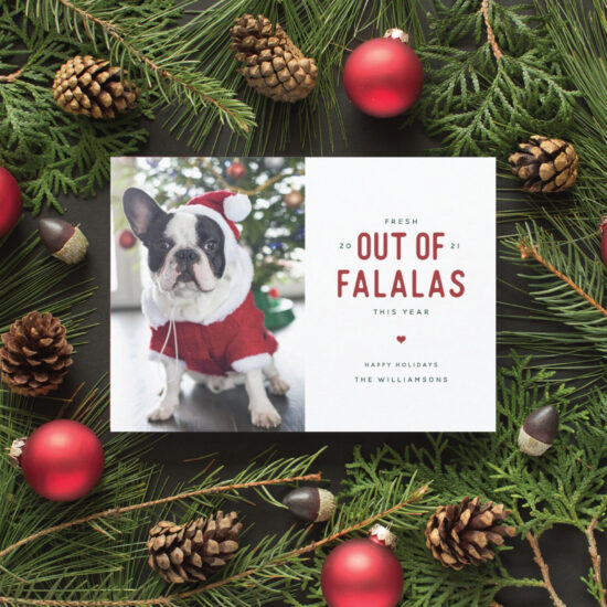 funny dog christmas cards
