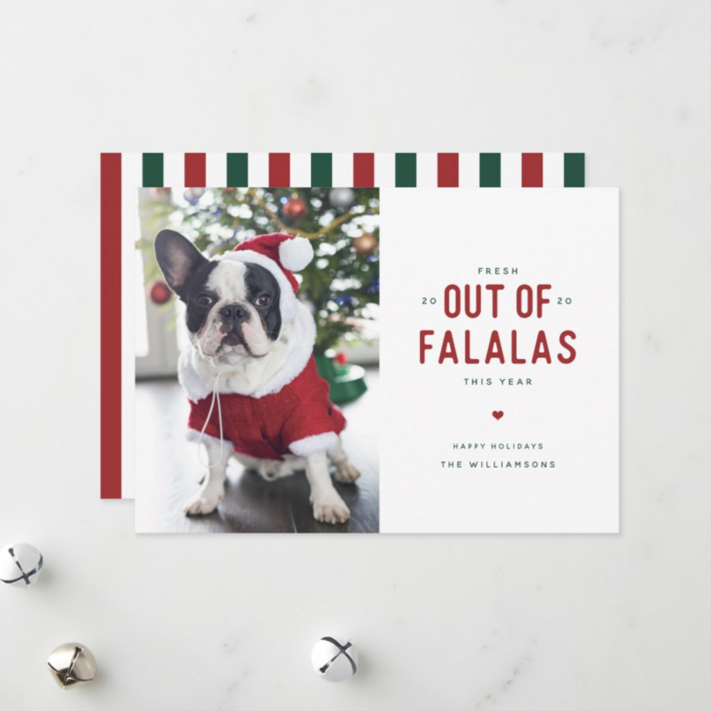 funny dog christmas card