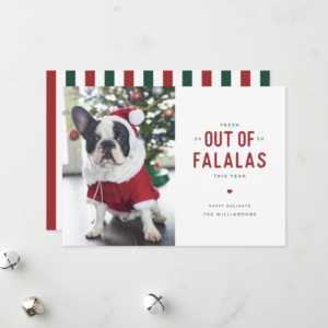 funny dog christmas card