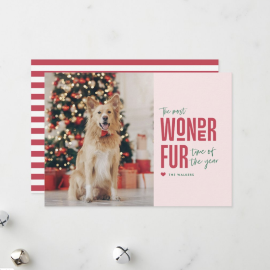 funny pet holiday cards