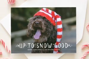 up to snow good funny holiday card