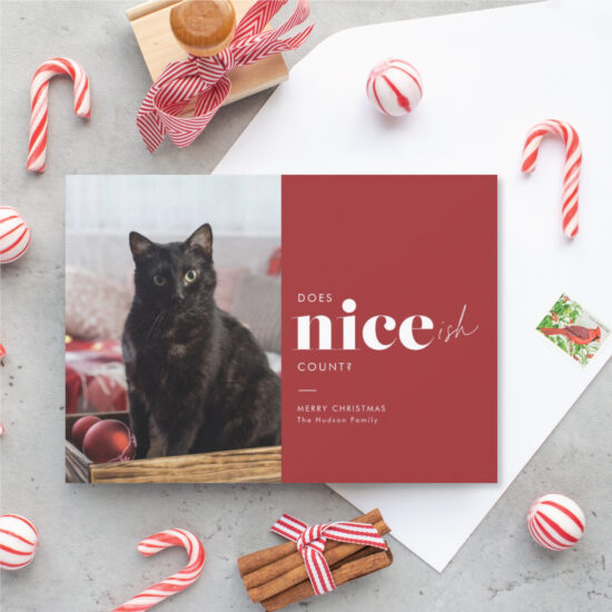 niceish funny pet holiday cards